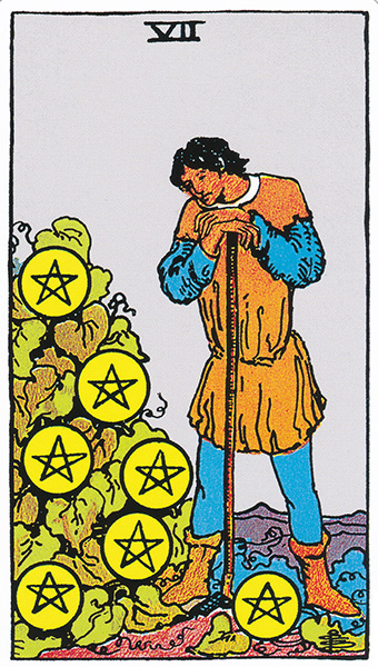 Tarot Card 206